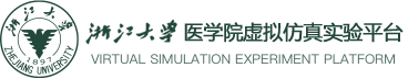 虚拟仿真实验平台